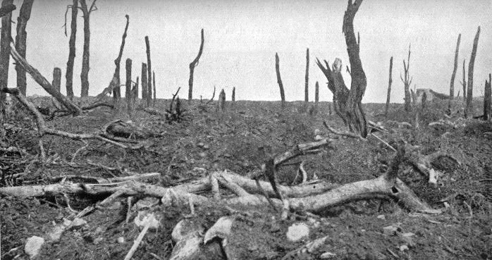 Pozieres_view_north_28_August_1916